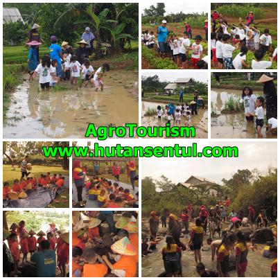 Agro Edukasi,Wisata Agro Sentul Selatan Bogor - Destinasi Wisata Hemat Sentul