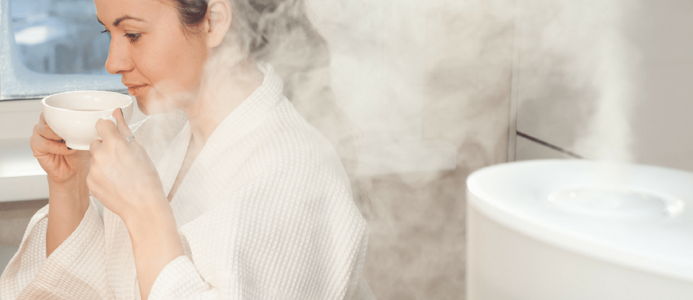 5 Best Humidifiers for Dry Skin Reviewed in Detail (Winter 2024)