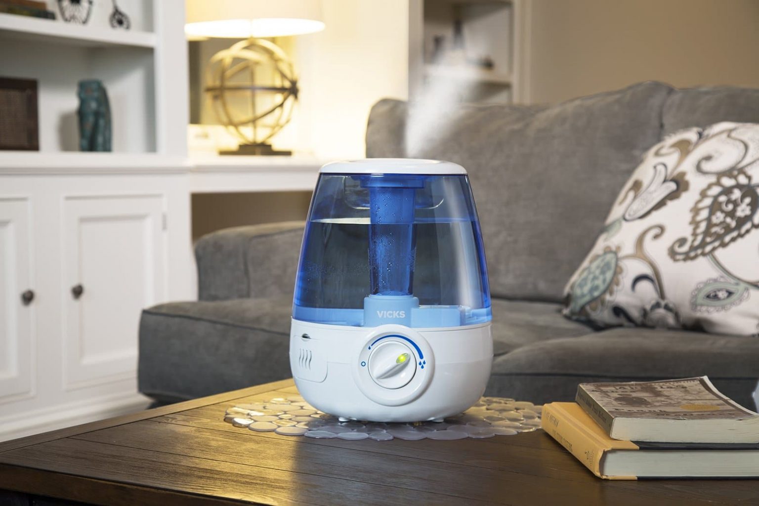 5 Best Vicks Humidifiers Reviewed in Detail (Winter 2024)