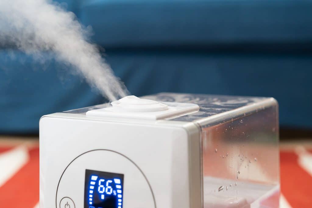 10 Best Humidifiers (Fall 2023) The Complete Guide