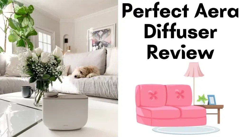 Perfect Aera Diffuser Review / Should You Buy 1 or Not? Hvacreboot