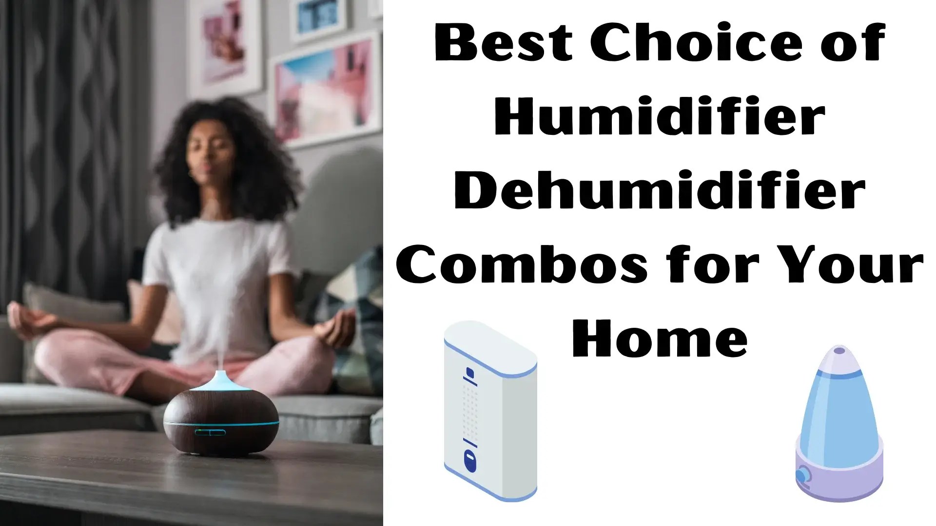 Best Choice of Humidifier Dehumidifier Combos for Your Home Hvacreboot