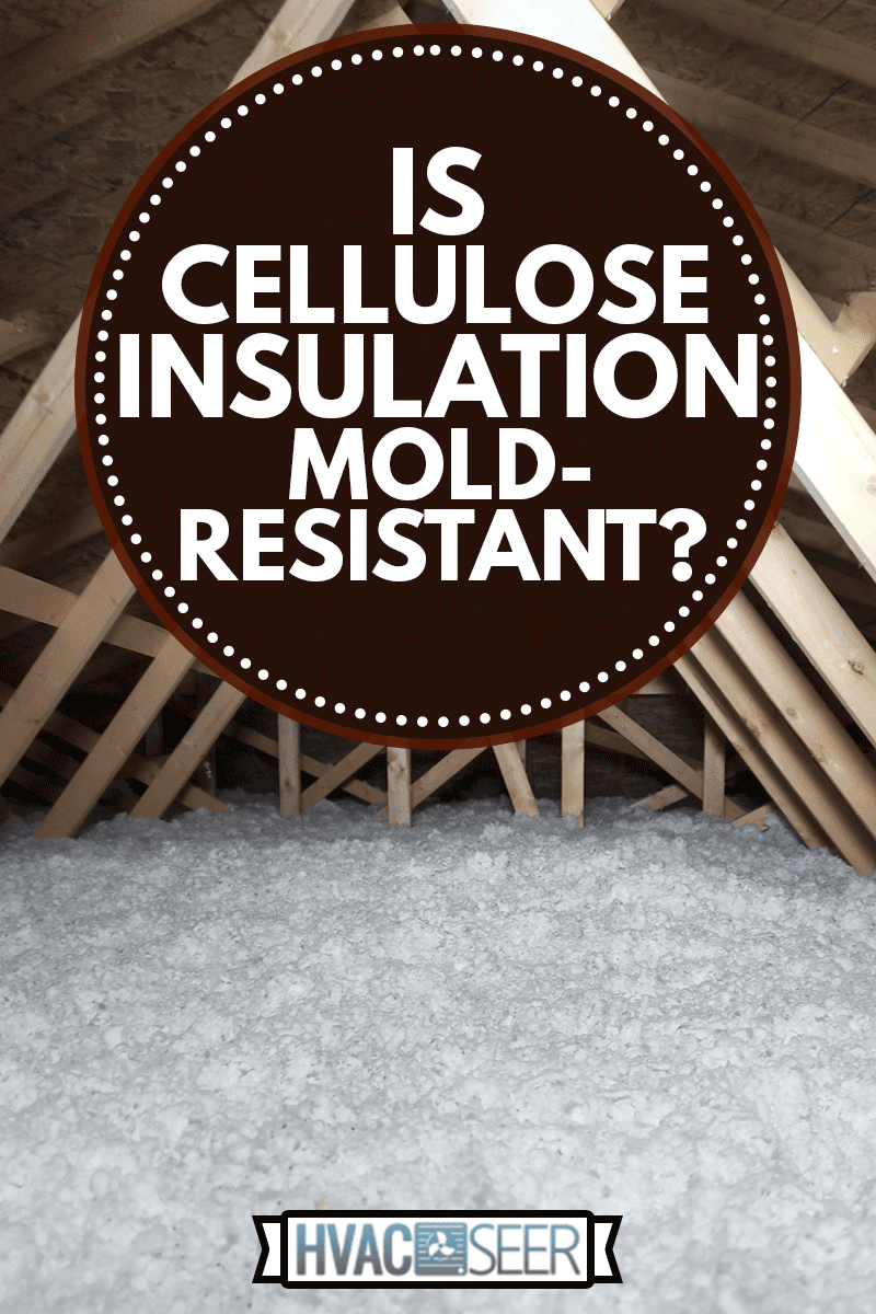 Is Cellulose Insulation MoldResistant?