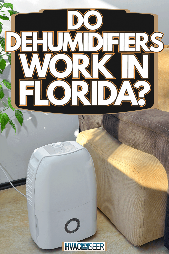 Do Dehumidifiers Work In Florida?