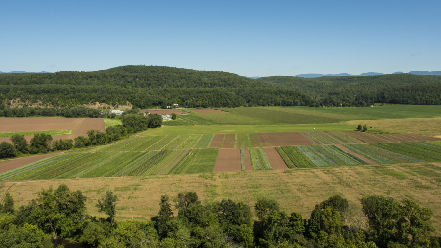 Market Garden Aerial Photos August 2015 Hudson Valley Farm Hub