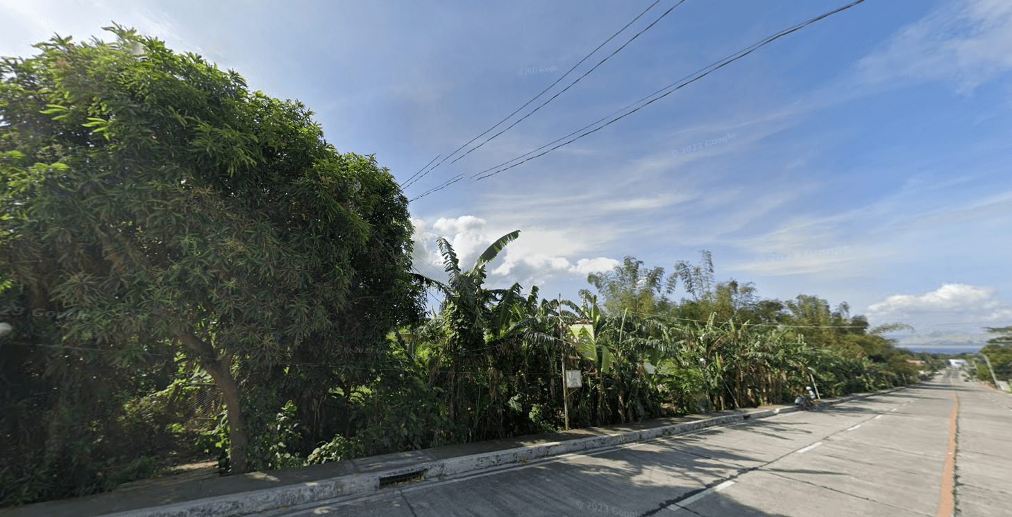 Raw Land Leviste Hwy, Balete, Batangas Horizontal Vertical Properties