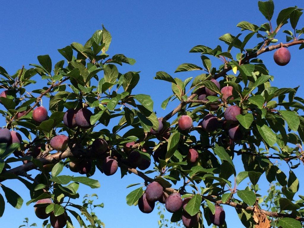 Places To Go Guide Hudson Valley Parent