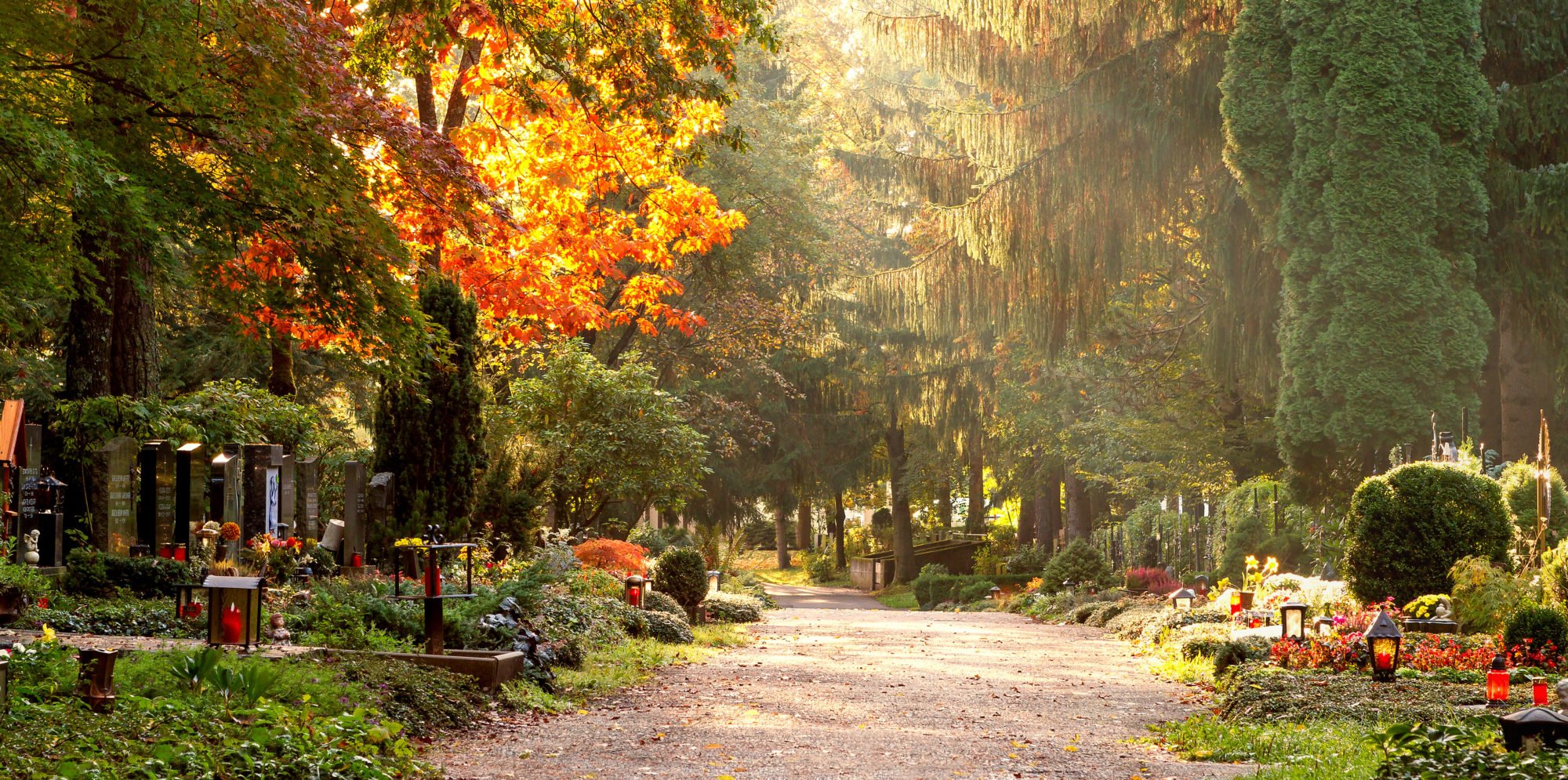 Woodland Burials in Essex Harold Wood Funeral Services