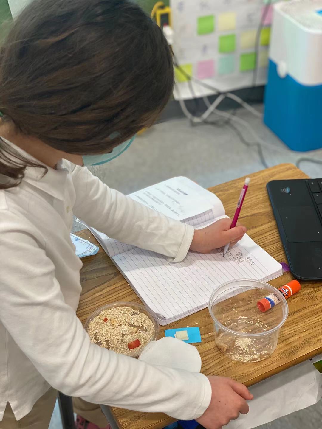 Grade 3 Science Projects