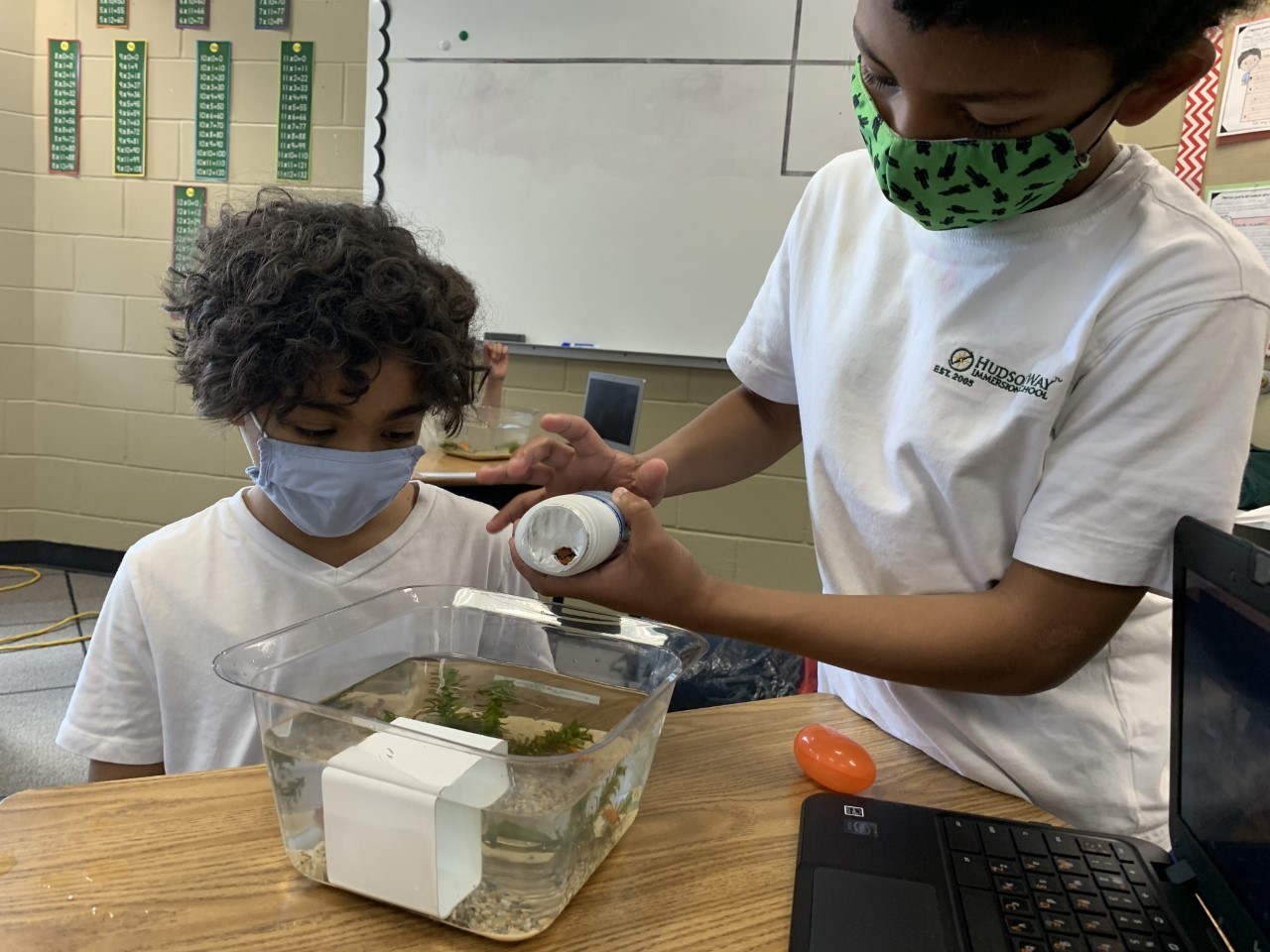 Grade 3 Science Projects