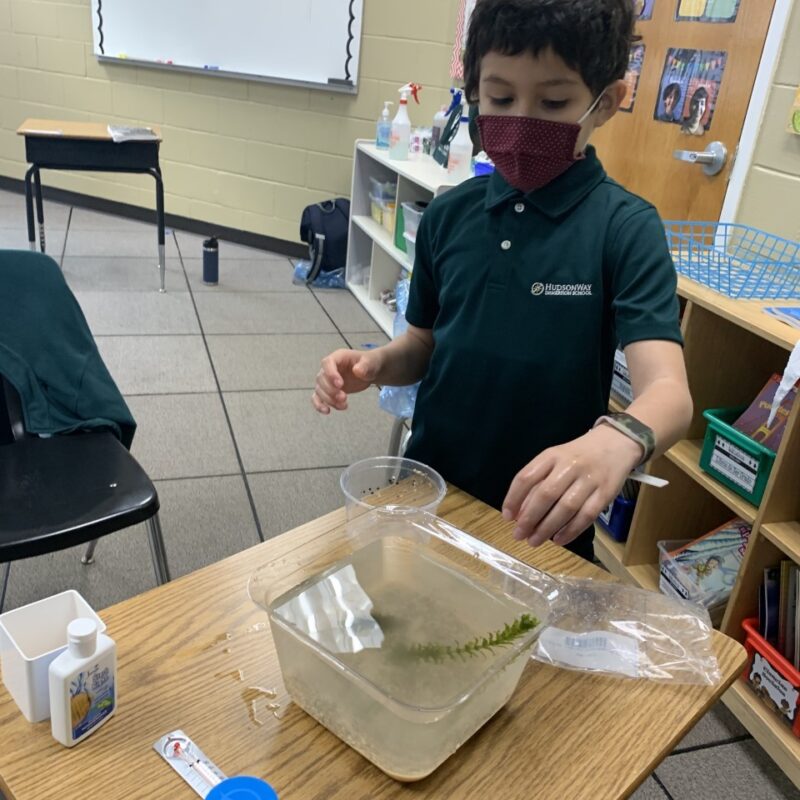 Grade 3 Science Projects