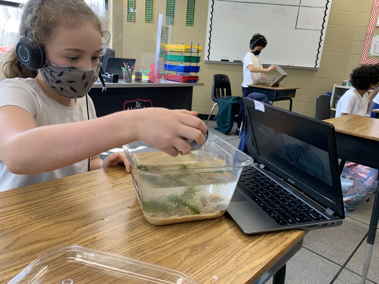 Grade 3 Science Projects