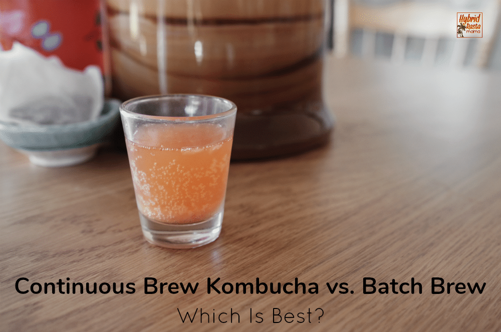 Continuous Brew Kombucha vs. Batch Brew Hybrid Rasta Mama