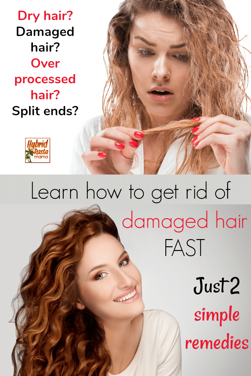 How To Repair Damaged Hair Plus Common Causes Hybrid Rasta Mama