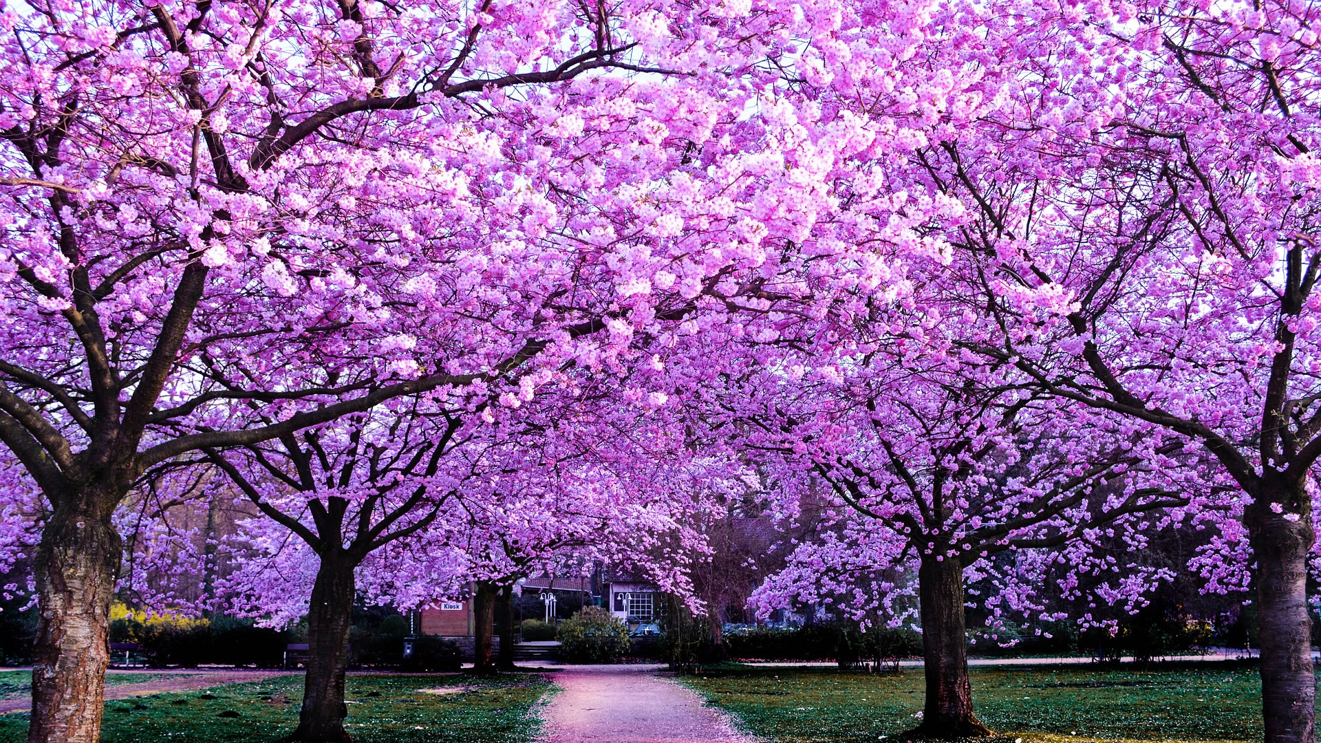 About Hydesville Schoolhouse