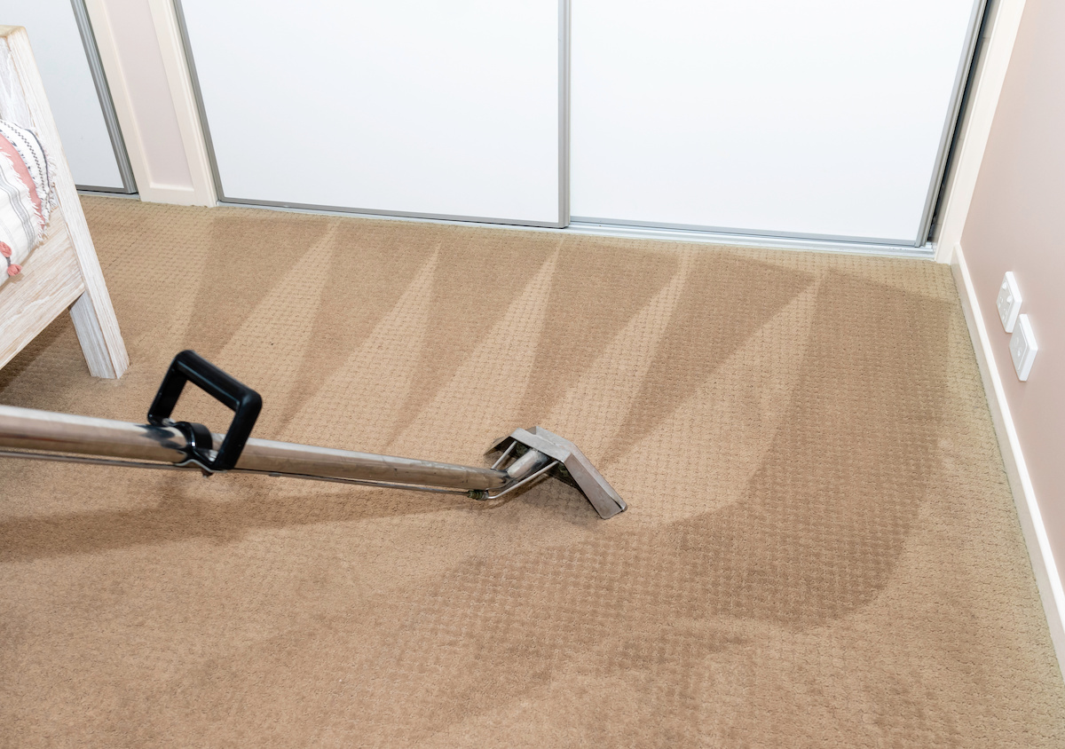 Stop Steam Cleaning Your Carpet and do This Instead