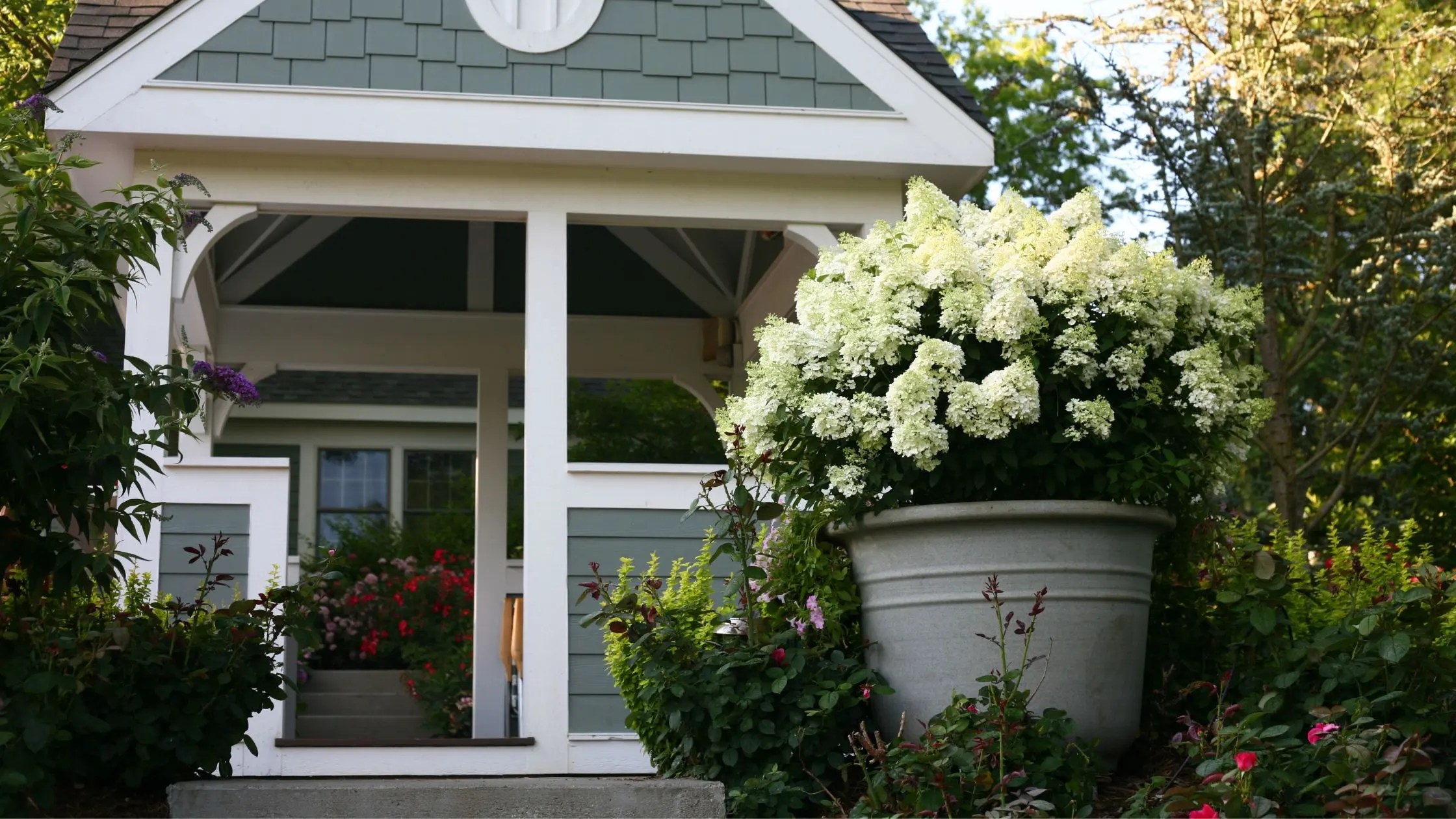 The Dos and Don'ts Of Growing Hydrangeas In Containers