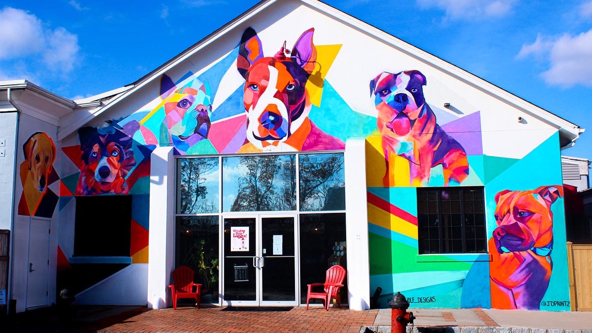 Riverhead & Hamptons Dog & Cat Boarding & Day care with Grooming