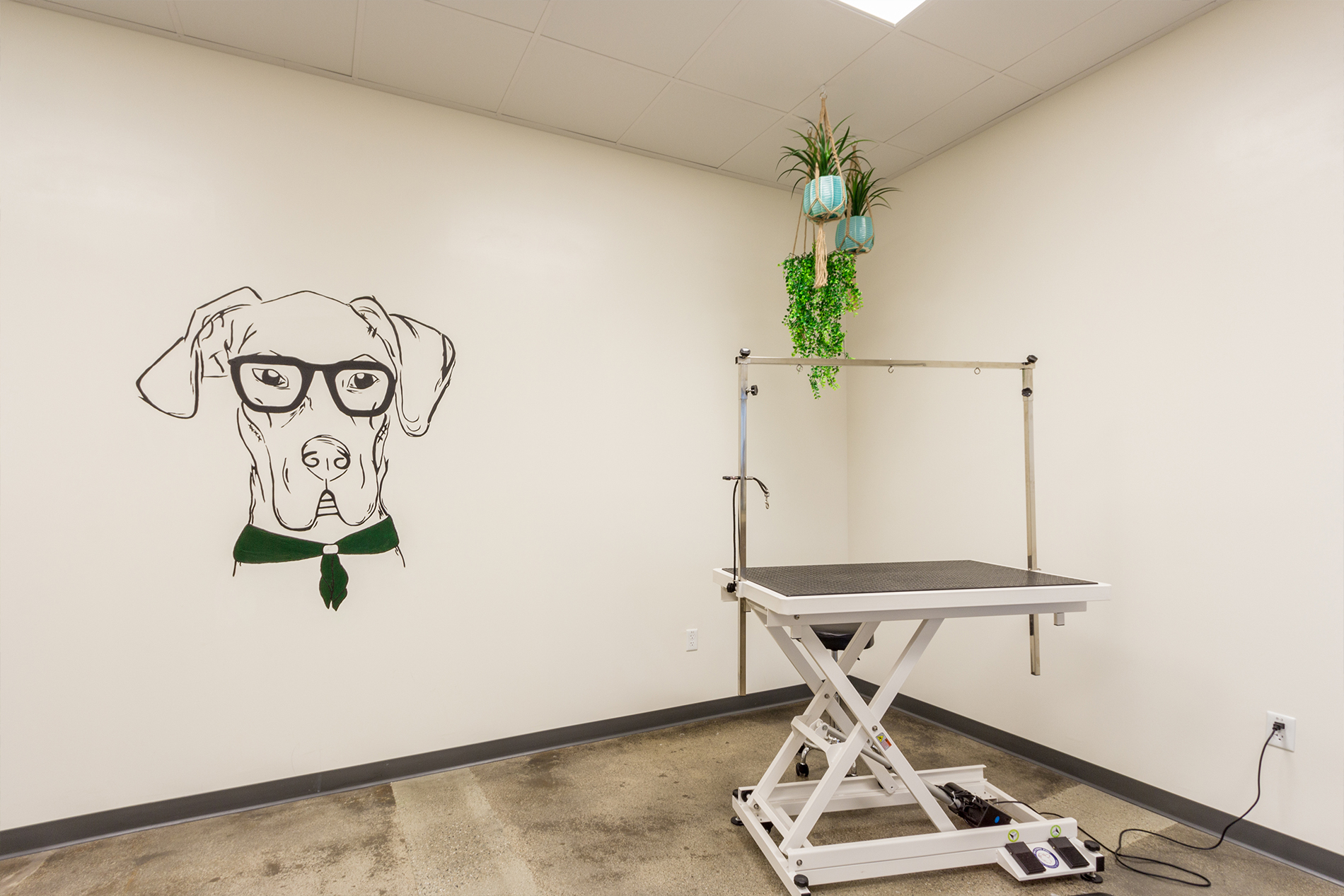 Pet and Dog Grooming Hydrant Pet Hotel