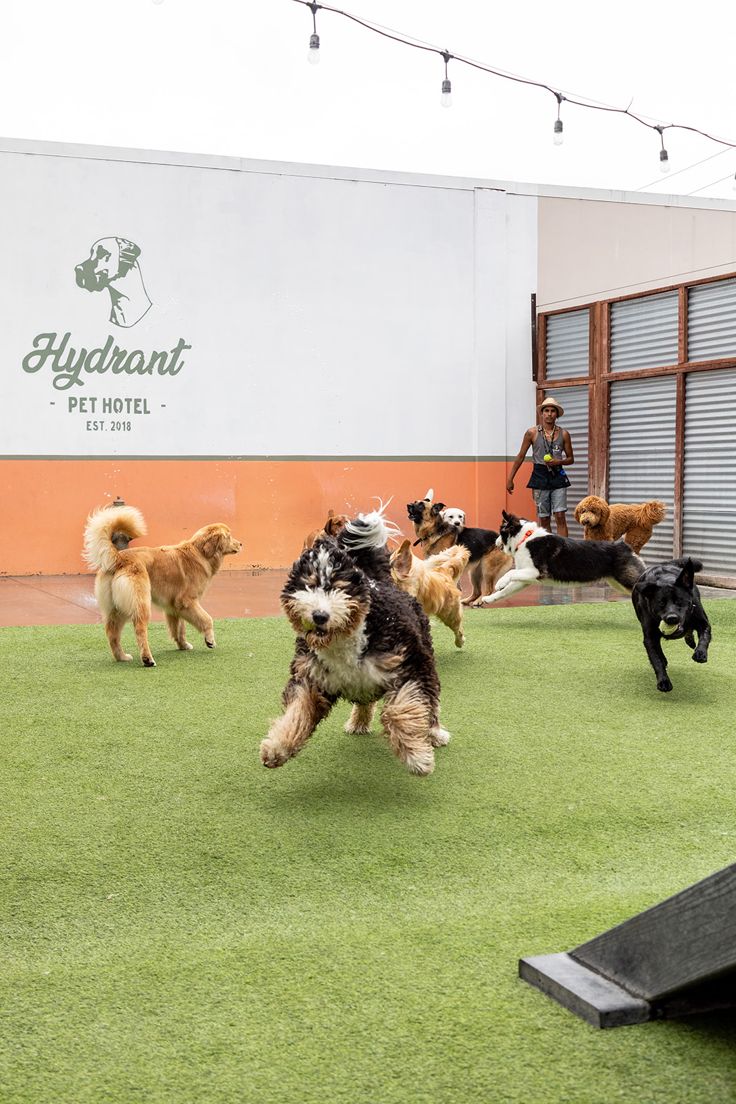 Boarding Hydrant Pet Hotel