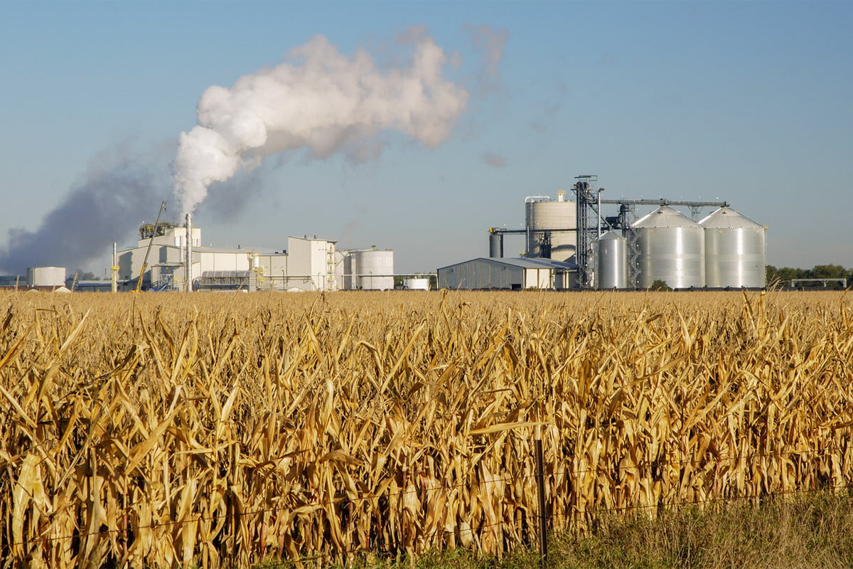 Brazil corn ethanol industry booms as cereal's output nears 100 mln T