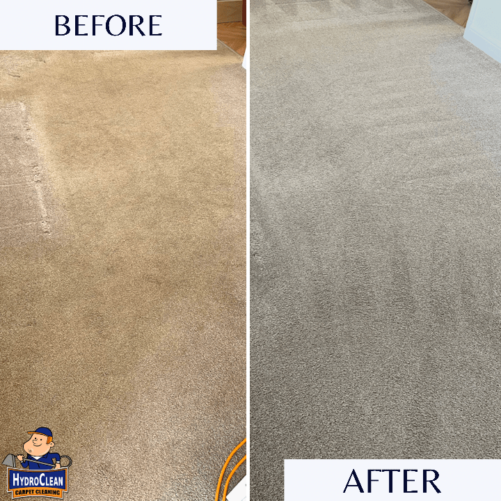 Blog HydroClean Carpet & Upholstery Cleaning