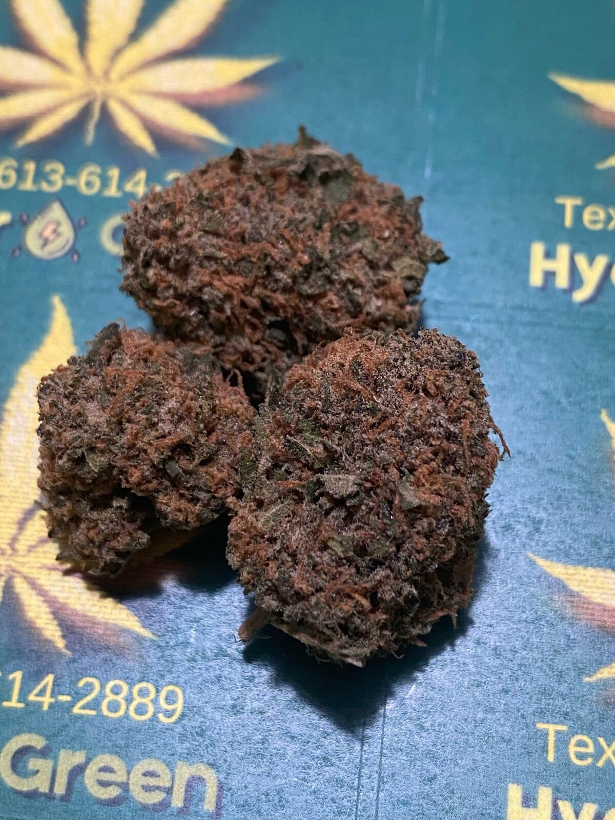 TUNA KUSH Hydro Green Shop