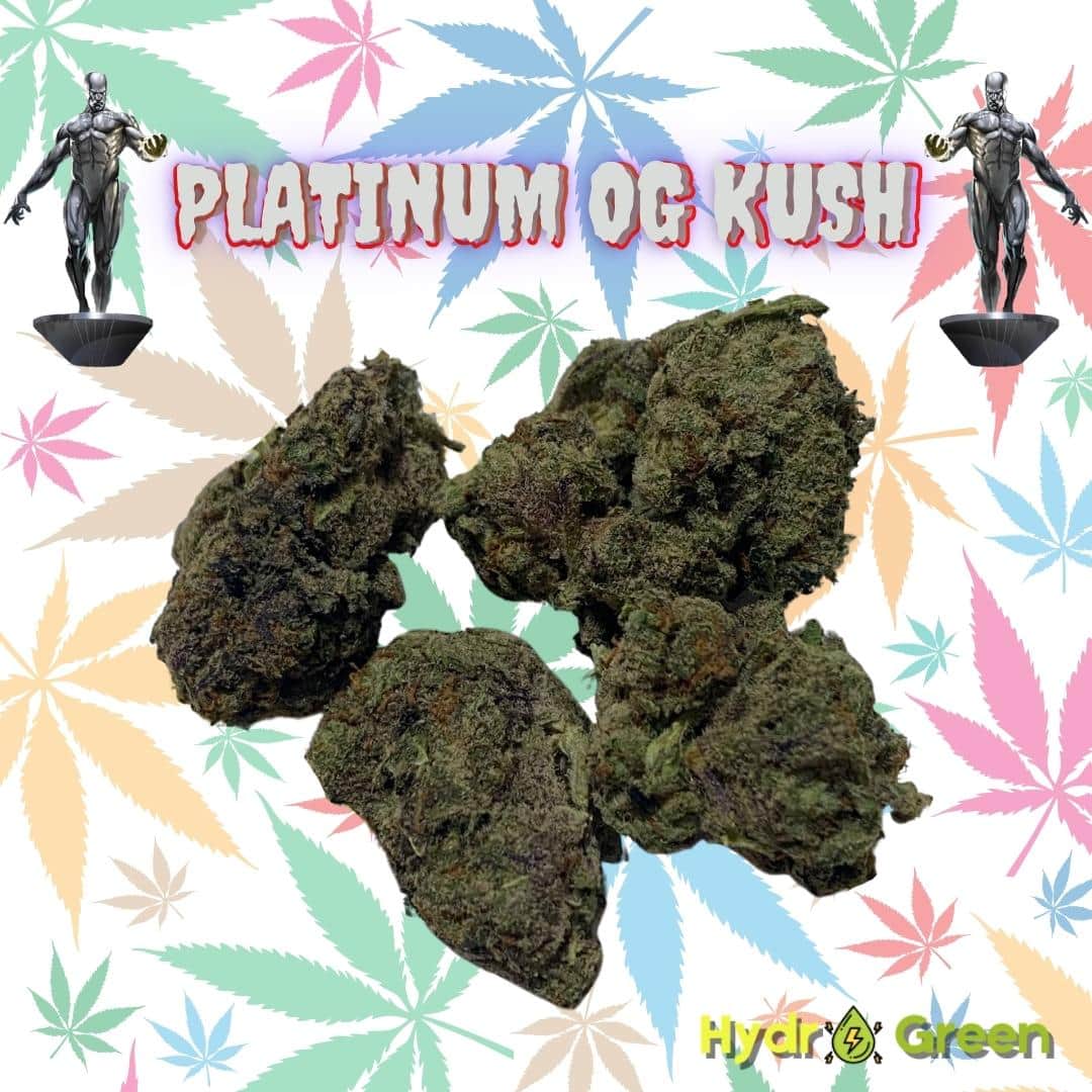 PLATINUM OG KUSH Hydro Green Shop