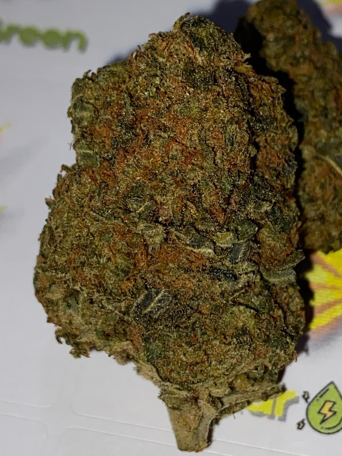 PINK GORILLA Hydro Green Shop