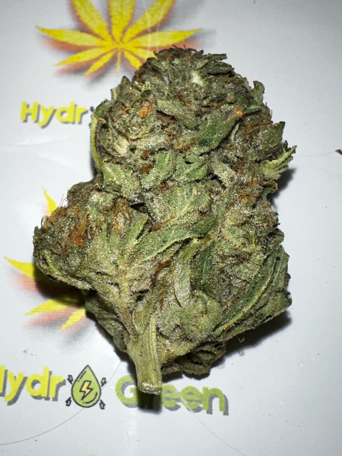 GREEN POISON Hydro Green Shop