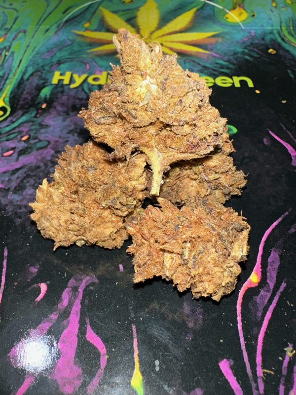 RED POISON Hydro Green Shop