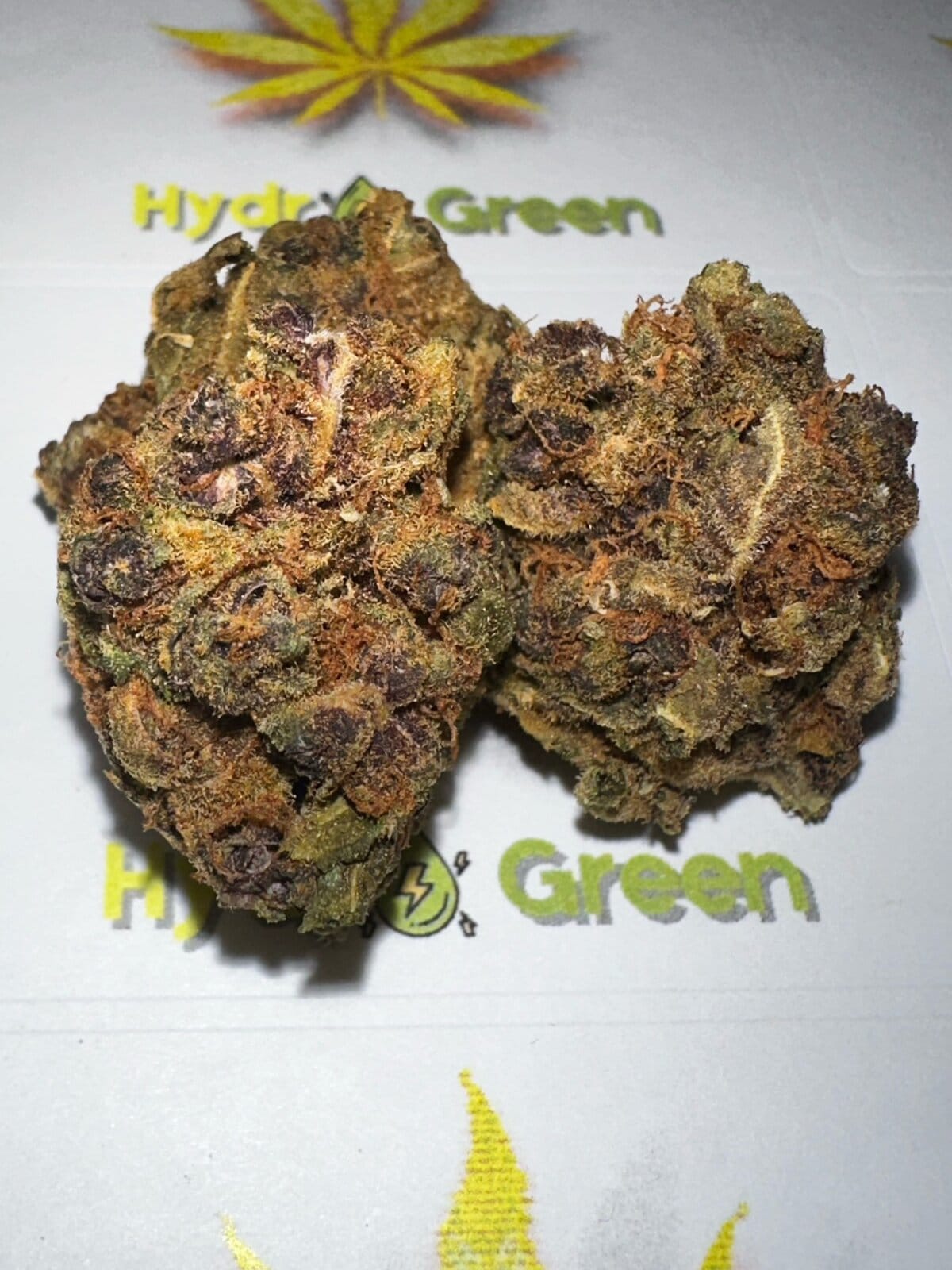 CHERRY KUSH Hydro Green Shop