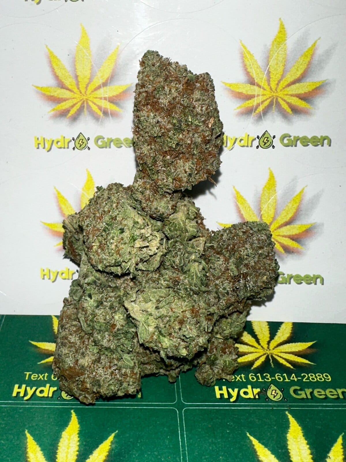 ALIEN OG Hydro Green Shop