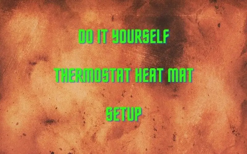 DIY Thermostat Heat Mat Setup 4 Essential Tips Hydroponic Growing