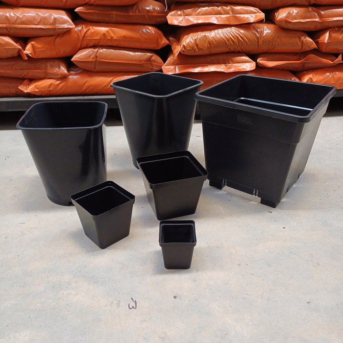 Square Plastic Plant Pots Online Hydroponics Shop