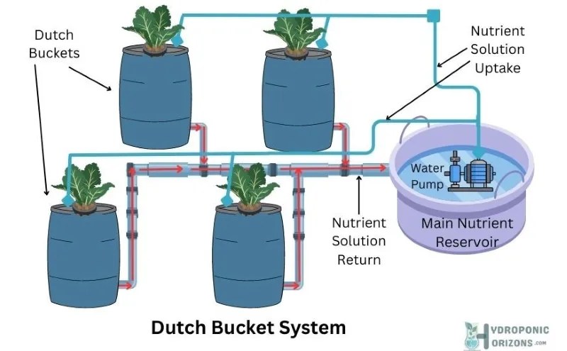What is Dutch Bucket System Hydroponics?