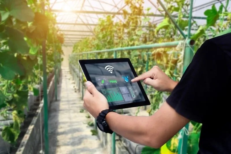 How To Lower Humidity In A Grow Tent Or Grow Room