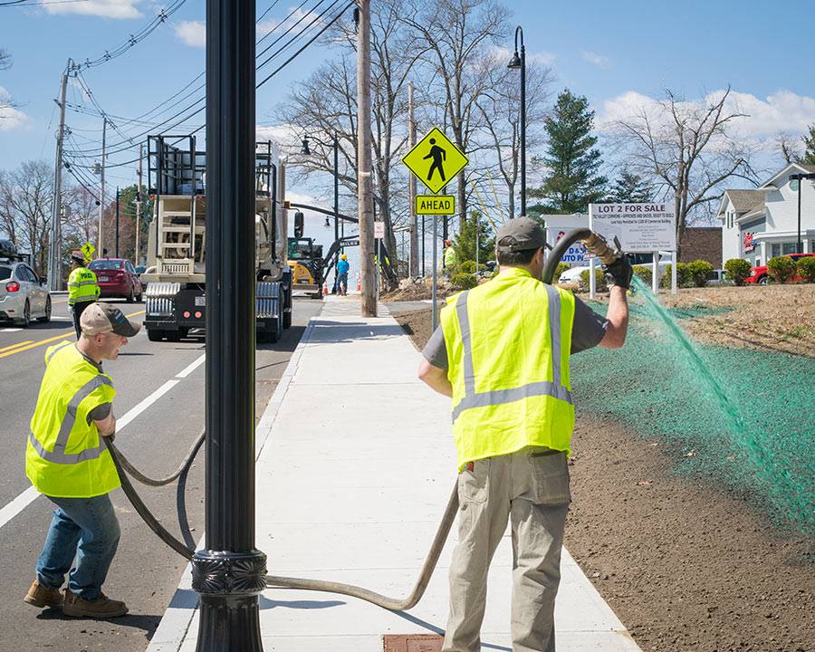 Home Hydroseeding Expert