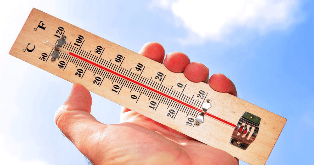 PROTECT YOUR LAWN FROM EXTREME HEAT Southern California