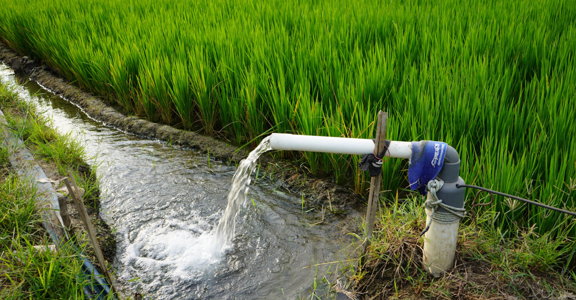 Environmentally Sustainable Water Conditioning Systems