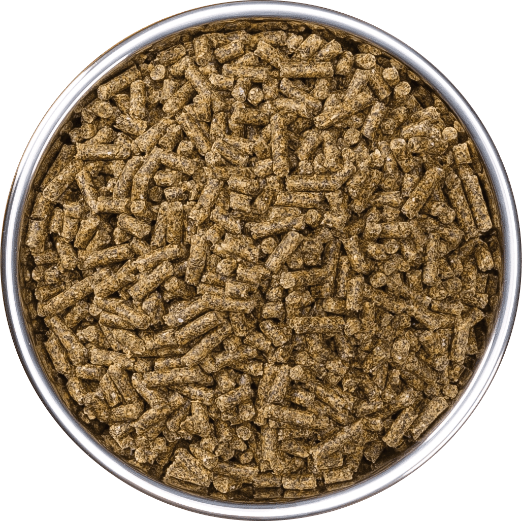 Horse Feed HYGAIN Horse Feeds & Supplements