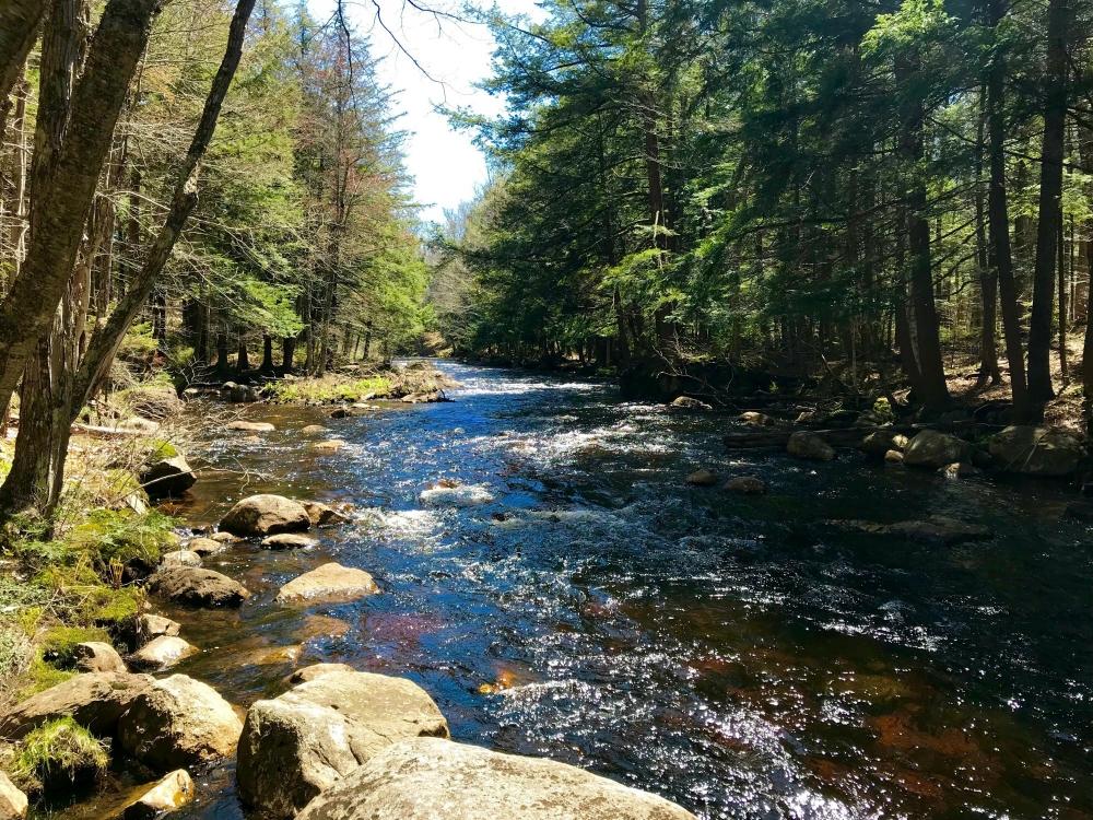 Beautiful 6 Acres Adirondack Trout Stream With Access to a Private Lake