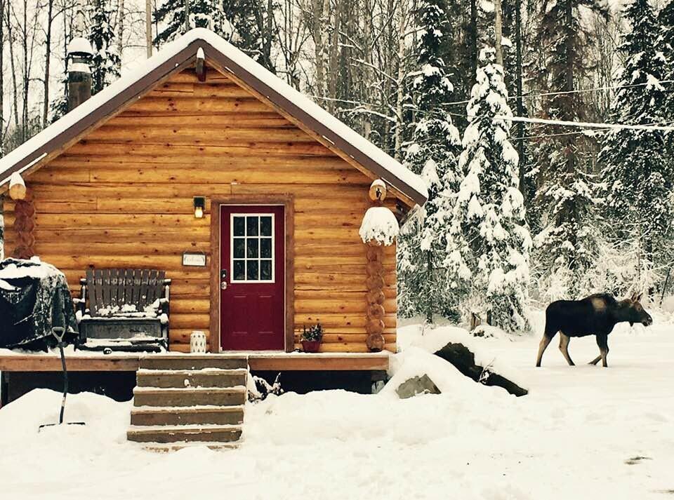 Comfy Cabin Nestled In The Woods In Alaska