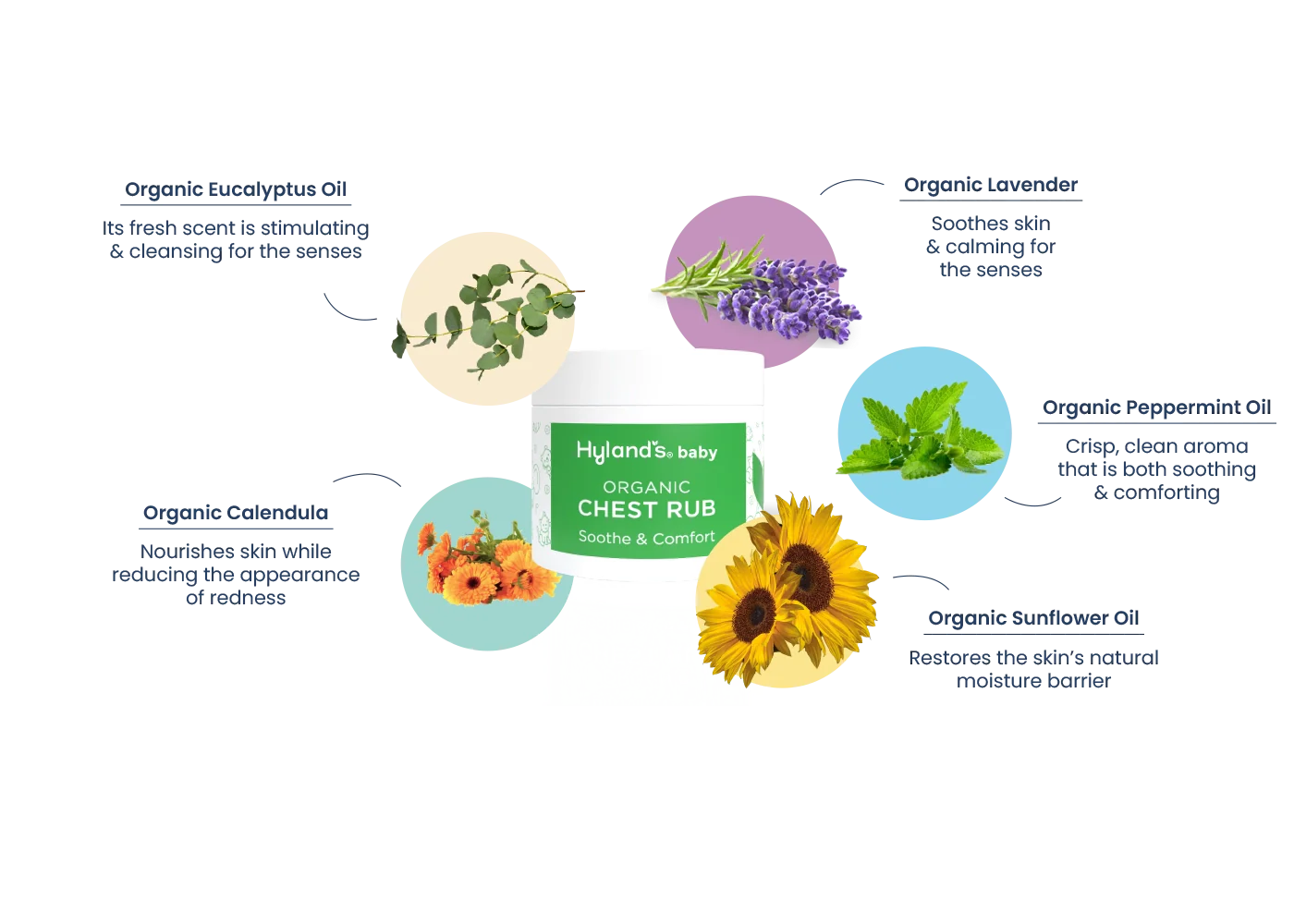 Baby Skincare Landing Hyland's