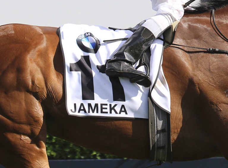 SADDLE CLOTH REPLICA Hyland Sportswear