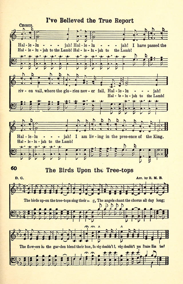 The Birds Upon the TreeTops