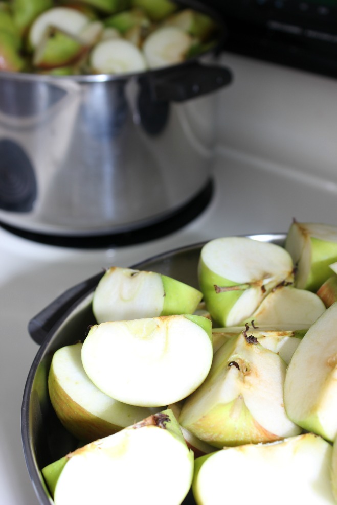 Homemade Applesauce with your Kitchenaid Mixer Hymns and Verses