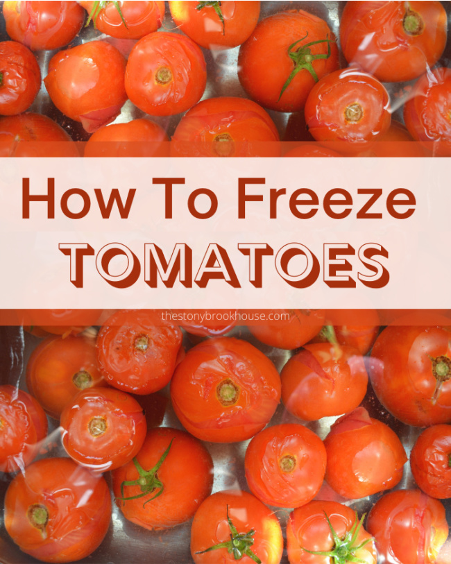 Freezing Tomatoes The Stonybrook House