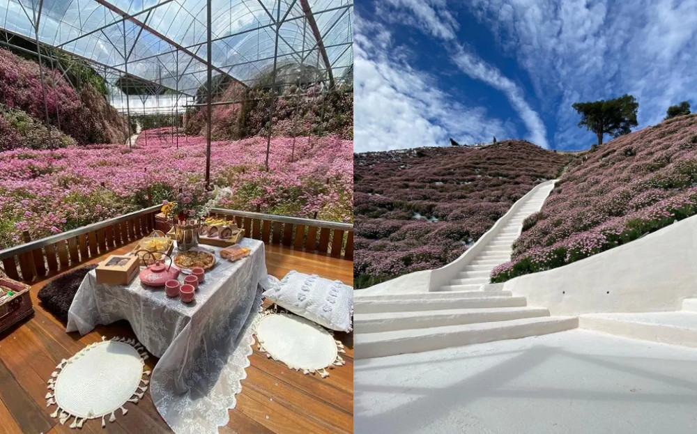 Flora Park This Floral Garden In Cameron Highlands Has A Ton Of