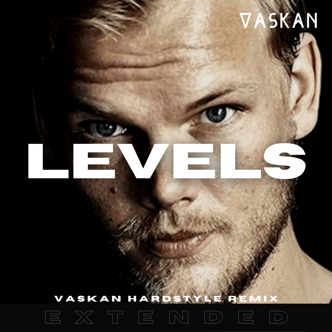 Levels (Vaskan Hardstyle Remix) EXTENDED by Avicii Free Download on